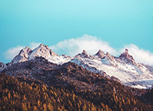 kaiyun体育网：让每一次比赛成为你的专属体验