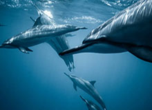 必赢注册入口：开启稳健娱乐新体验